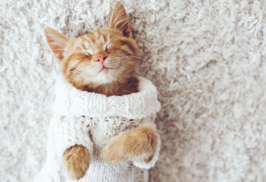 Comfortable carpet